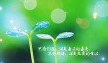 我向生活低下了头的说说