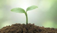 描写希望的句子