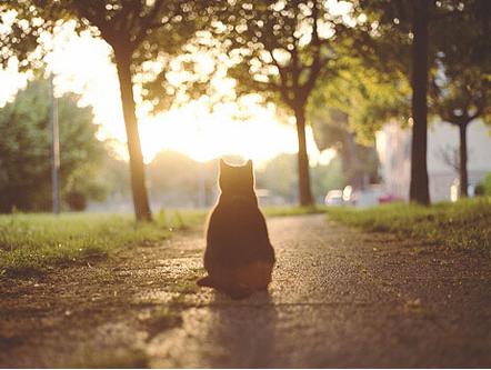 世界上最令人心碎的感觉不是破碎的心