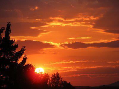 以为那只鸟没有飞过海