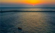 描写清晨心静的句子