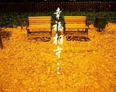 编辑编写了一些描述家庭幸福的句子