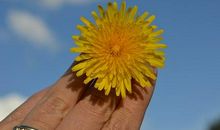 祝愿同学开心快乐的句子