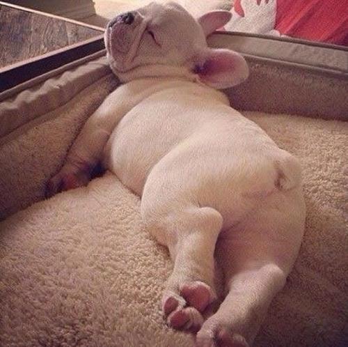 使人立即开心的句子是一个笑话