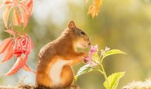 关于亲情暖人心的句子