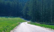 关于友情的语句