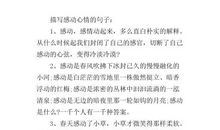 描写心情感动的句子