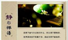 禅悟静心的句子