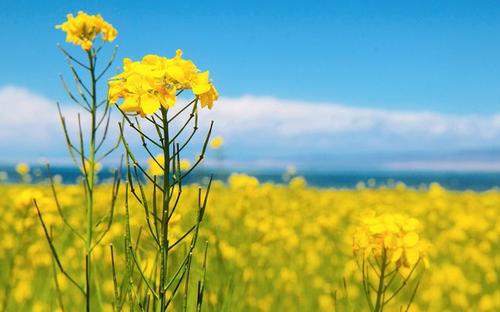 并谈论了情绪短语