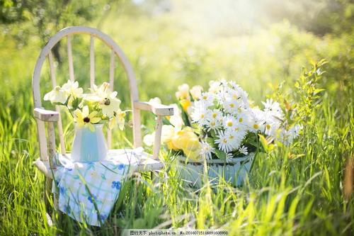 请享受由编辑组织的有关快乐和积极能量的句子