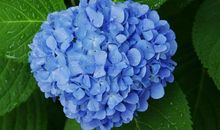 开心妈妈快乐的句子