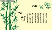 赞美竹子的诗句古诗