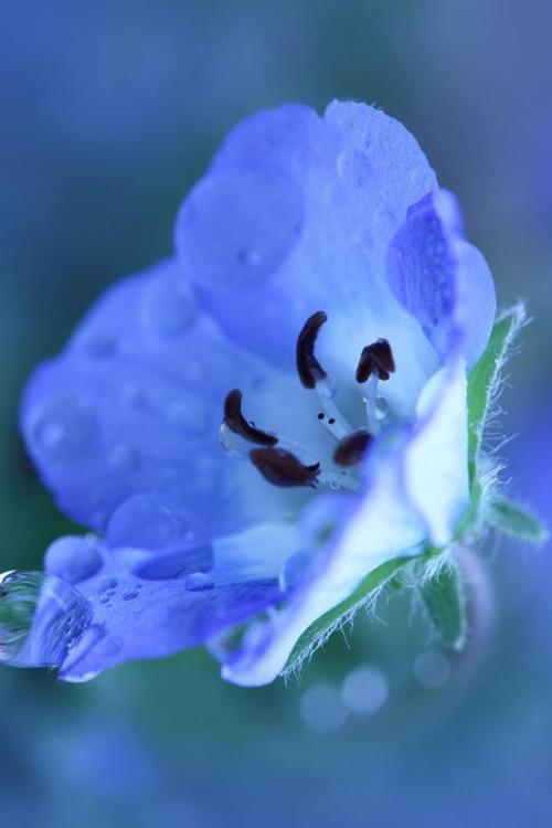 编辑编辑了一些有关旅行的快乐和幸福的句子