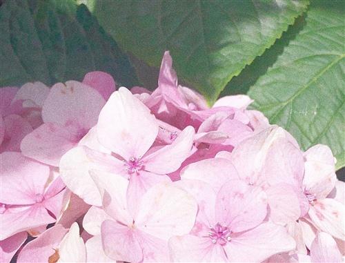 首先要把人们的生命和健康放在首位