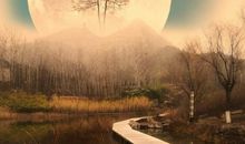 带有诗意的说说