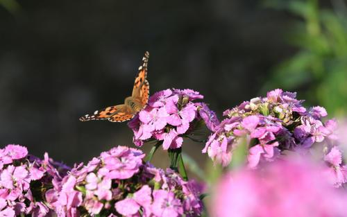 让男朋友开心很容易