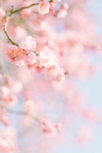 让我们看一下我为使男朋友感到非常高兴而编写的句子