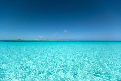 平坦的海滩上镶嵌着五颜六色的贝壳