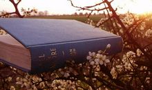 在错的时间遇到对的你说说