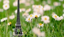 一天天头晕没精神的说说 头晕不舒服的心情说说