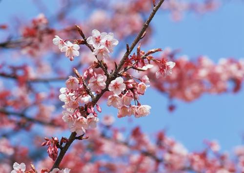 小编编了一些使人开心和放松的句子