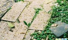 带三月的句子 早春三月的景色描写