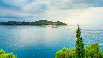 整个海岸都充满了活力