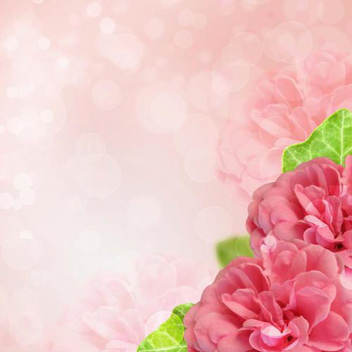 编辑整理了一些有关老年人幸福的好句子