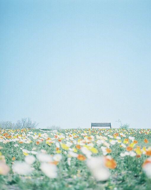 供大家整理关于感恩节分享学习的句子