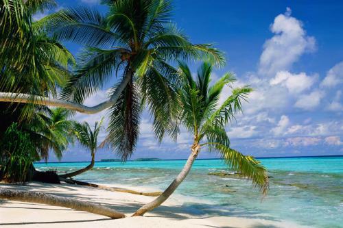 旅游的目的是为了找到幸福