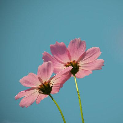 古老的风格很美