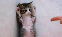 好玩的语句大全，幽默好玩的句子