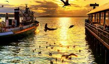 正能量的短句子：在最美的年龄为最纯真的梦做最大的努力