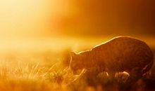 睡觉睡到天昏地暗的说说