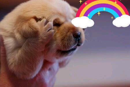 大海充满了河流