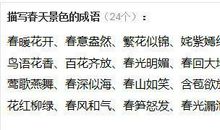 有关描写春天的成语