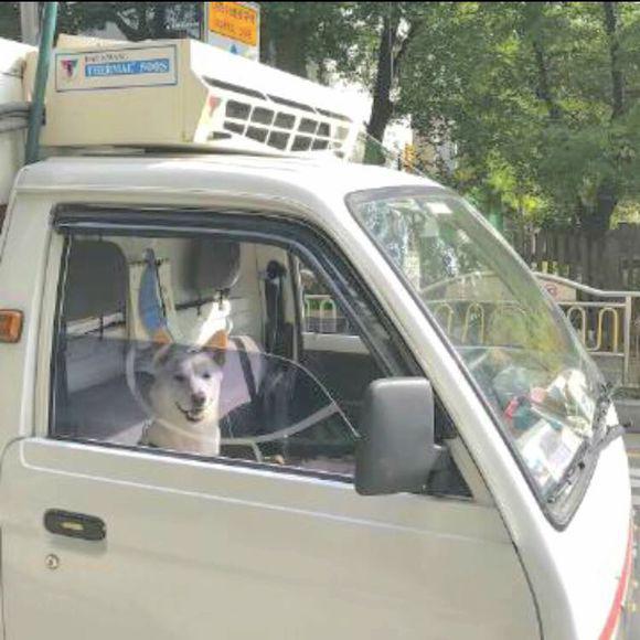 一段感恩母亲的经典句子 0