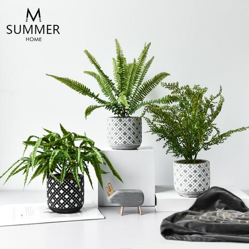 让我们来看看编辑收集的有关收集家庭关系的句子