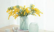 表示血脉亲情的句子