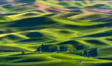 结婚祝福语短信