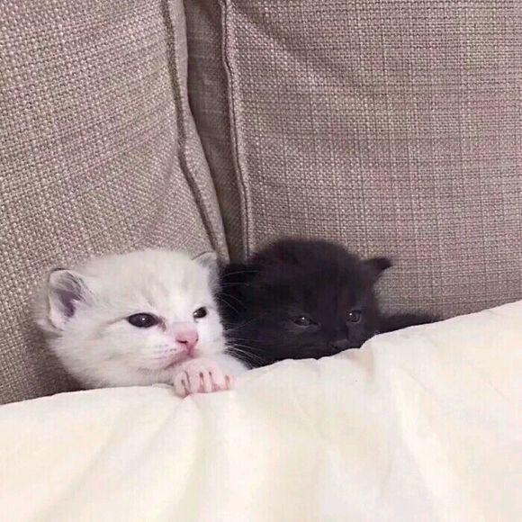 你已经度过了神圣的生命