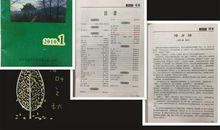 关于乡情的名人诗句