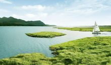 关于风的经典诗句