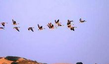 有哲理的爱情诗句