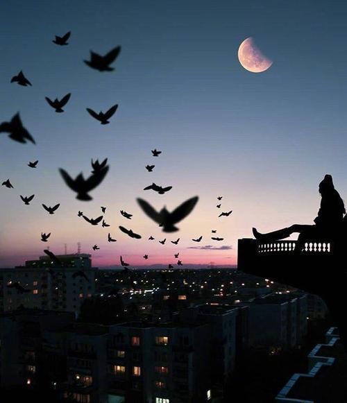 不可避免的是家庭会有片刻的心痛