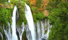 形容友情的话语