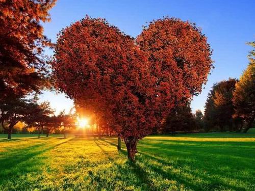 我用两只手爆发