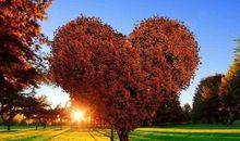 霸气痛到心碎的句子大全