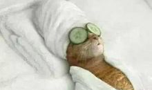 搞笑长段子精选