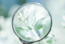 希望大家都喜欢  1